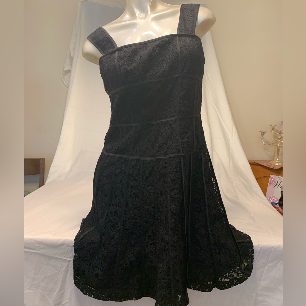 Ann Taylor Lace Dress